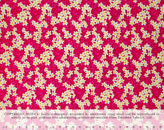 AW-001 Pink  Trendtex Fabrics Cotton Poplin trendtexfabrics.myshopify.com TrendtexFabrics