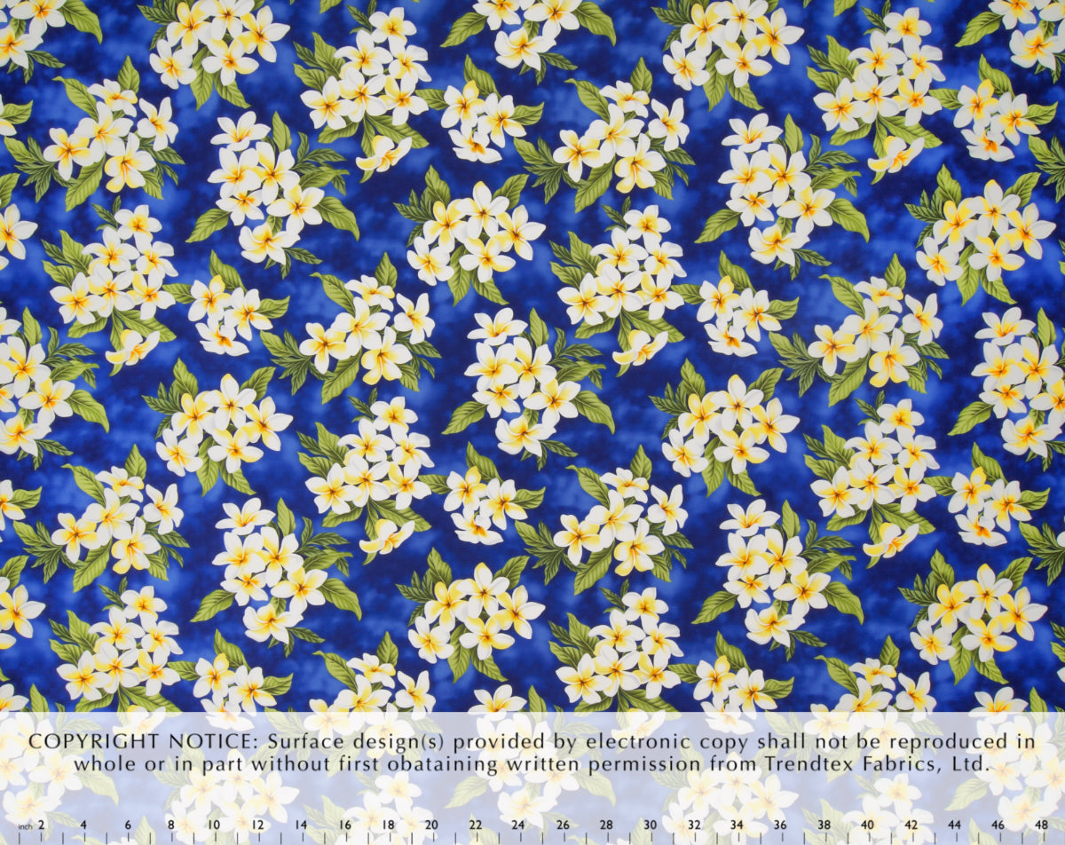 EH-F247R Blue  Trendtex Fabrics Cotton Poplin trendtexfabrics.myshopify.com TrendtexFabrics