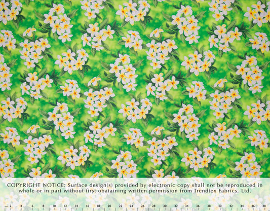 EH-F247R Lime  Trendtex Fabrics Cotton Poplin trendtexfabrics.myshopify.com TrendtexFabrics
