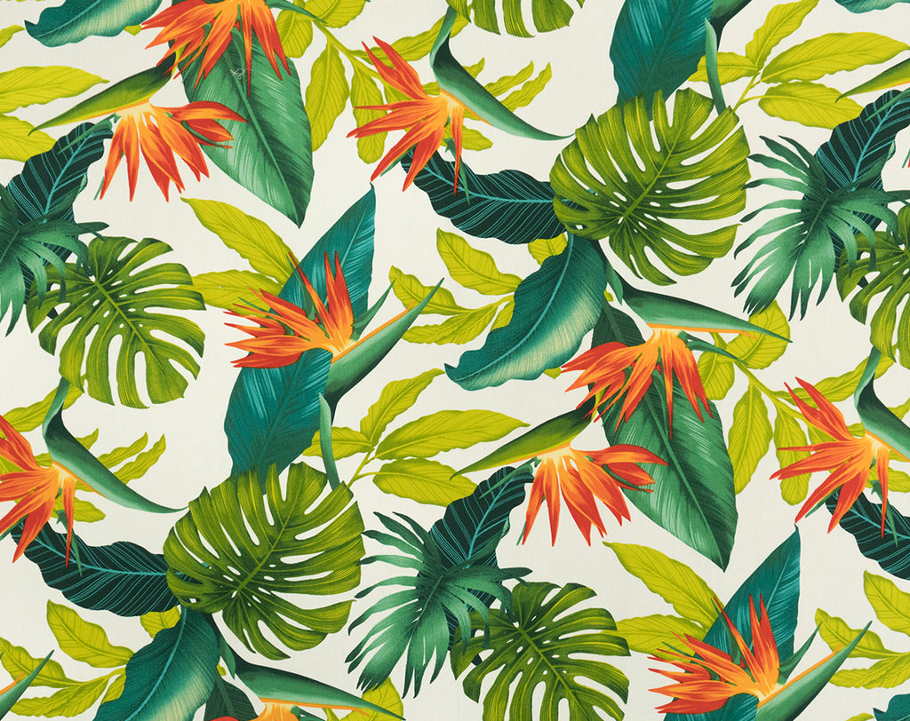 FU-001 White  TrendtexFabrics Cotton Poplin trendtexfabrics.myshopify.com TrendtexFabrics