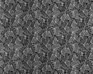 GM-011 Black/Cream  Trendtex Fabrics Cotton Poplin trendtexfabrics.myshopify.com TrendtexFabrics