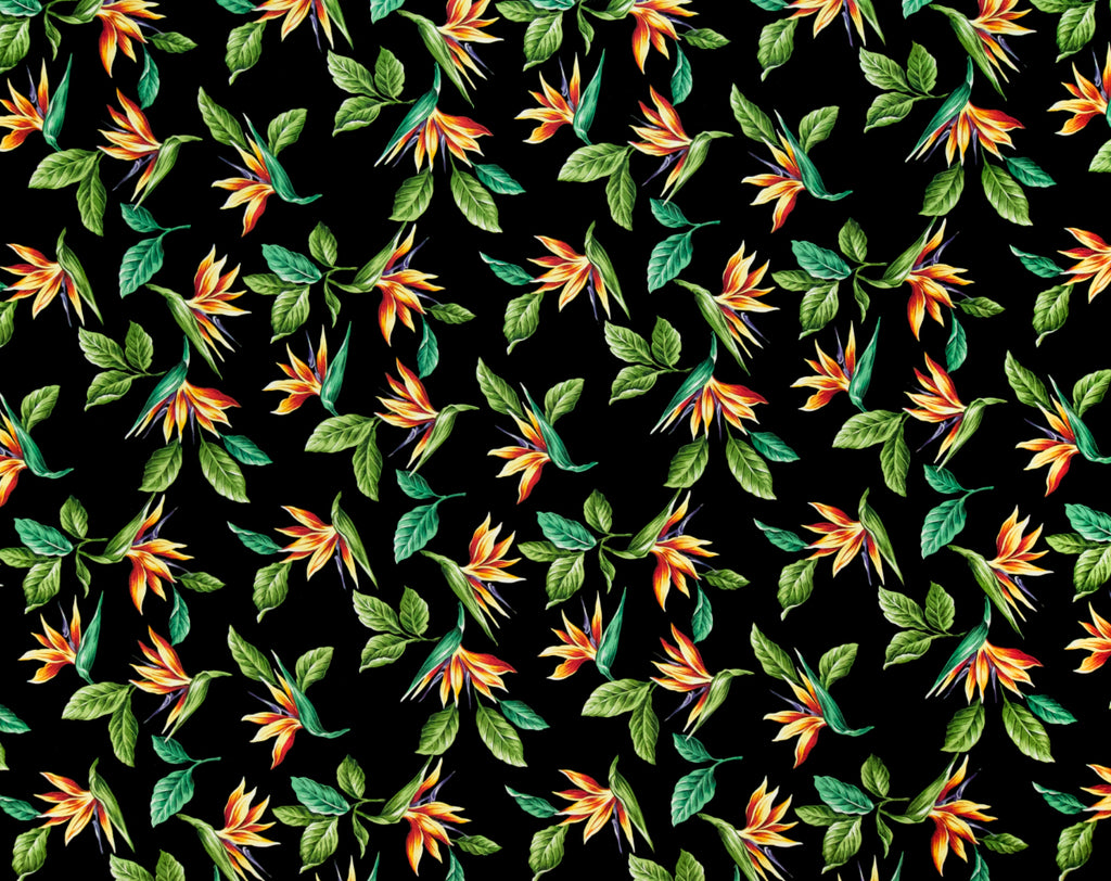 HN-033 Black  Trendtex Fabrics Cotton Poplin trendtexfabrics.myshopify.com TrendtexFabrics