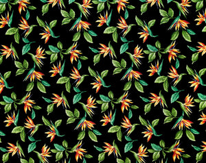 HN-033 Black  Trendtex Fabrics Cotton Poplin trendtexfabrics.myshopify.com TrendtexFabrics