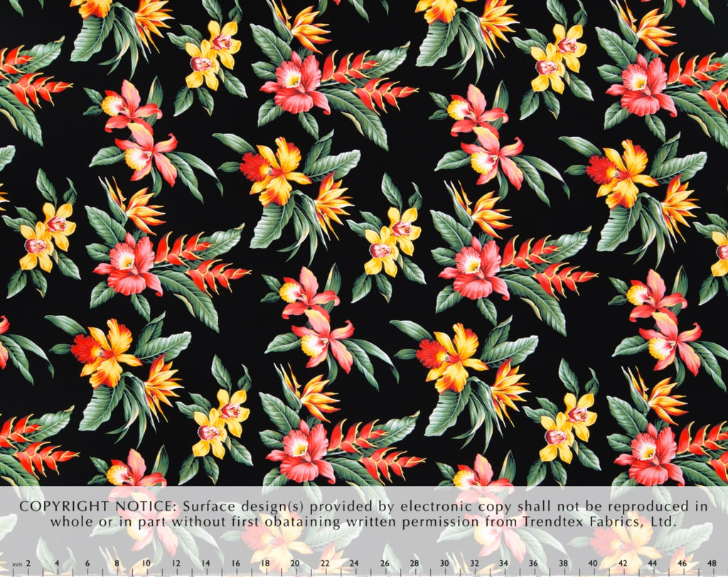 HN-034 Black  Trendtex Fabrics Cotton Poplin trendtexfabrics.myshopify.com TrendtexFabrics