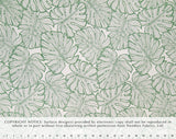 JM-002 Cream/Sage (Cotton Dobby)  Trendtex Fabrics Cotton Dobby trendtexfabrics.myshopify.com TrendtexFabrics