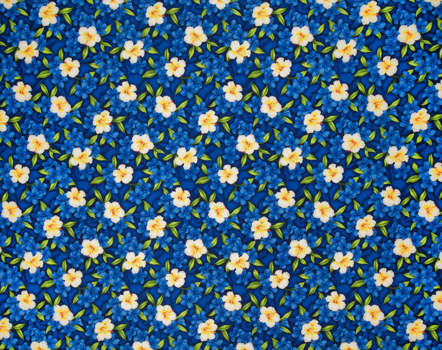 JV-005M Blue  Trendtex Fabrics Cotton Poplin trendtexfabrics.myshopify.com TrendtexFabrics