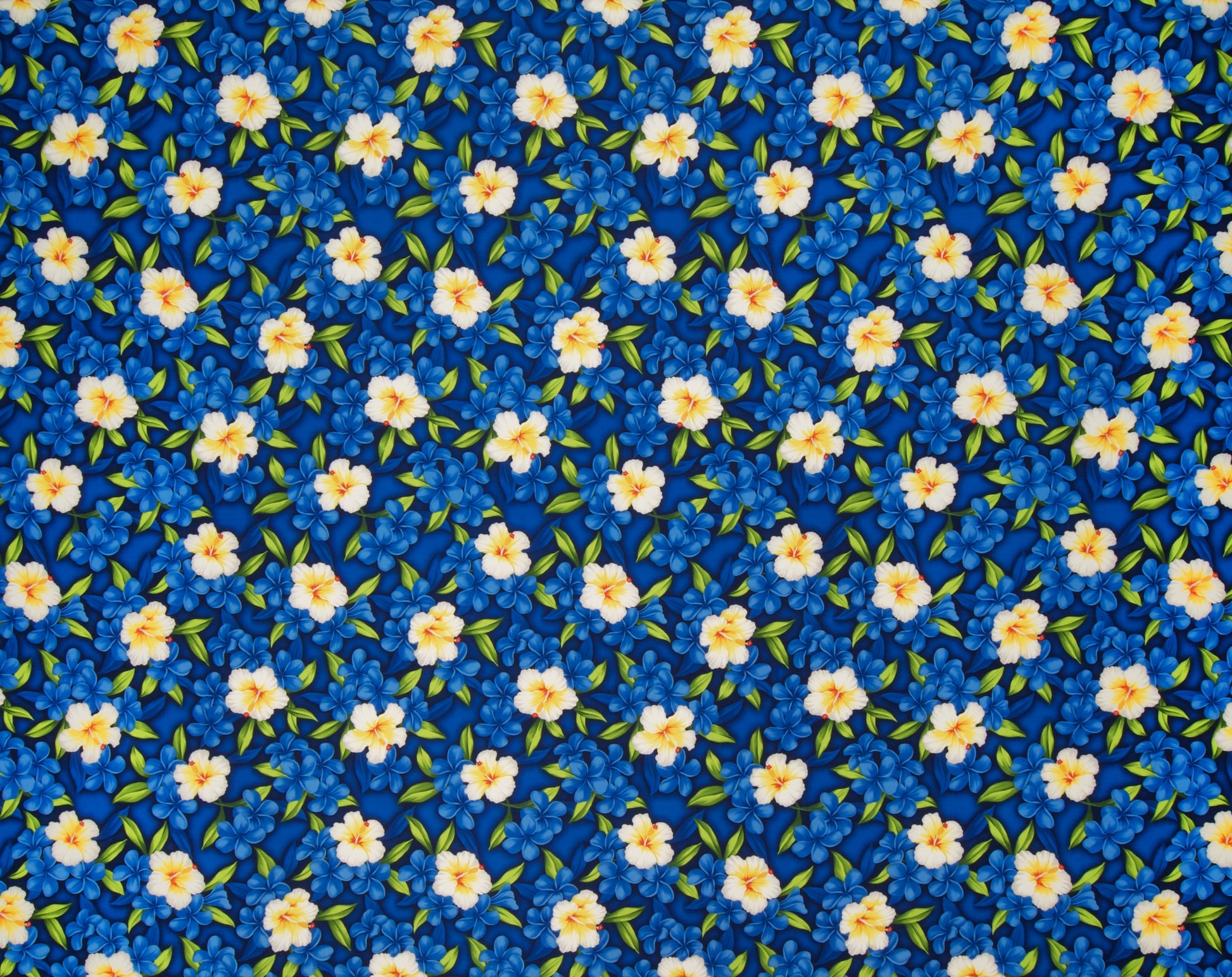 JV-005M Blue  Trendtex Fabrics Cotton Poplin trendtexfabrics.myshopify.com TrendtexFabrics