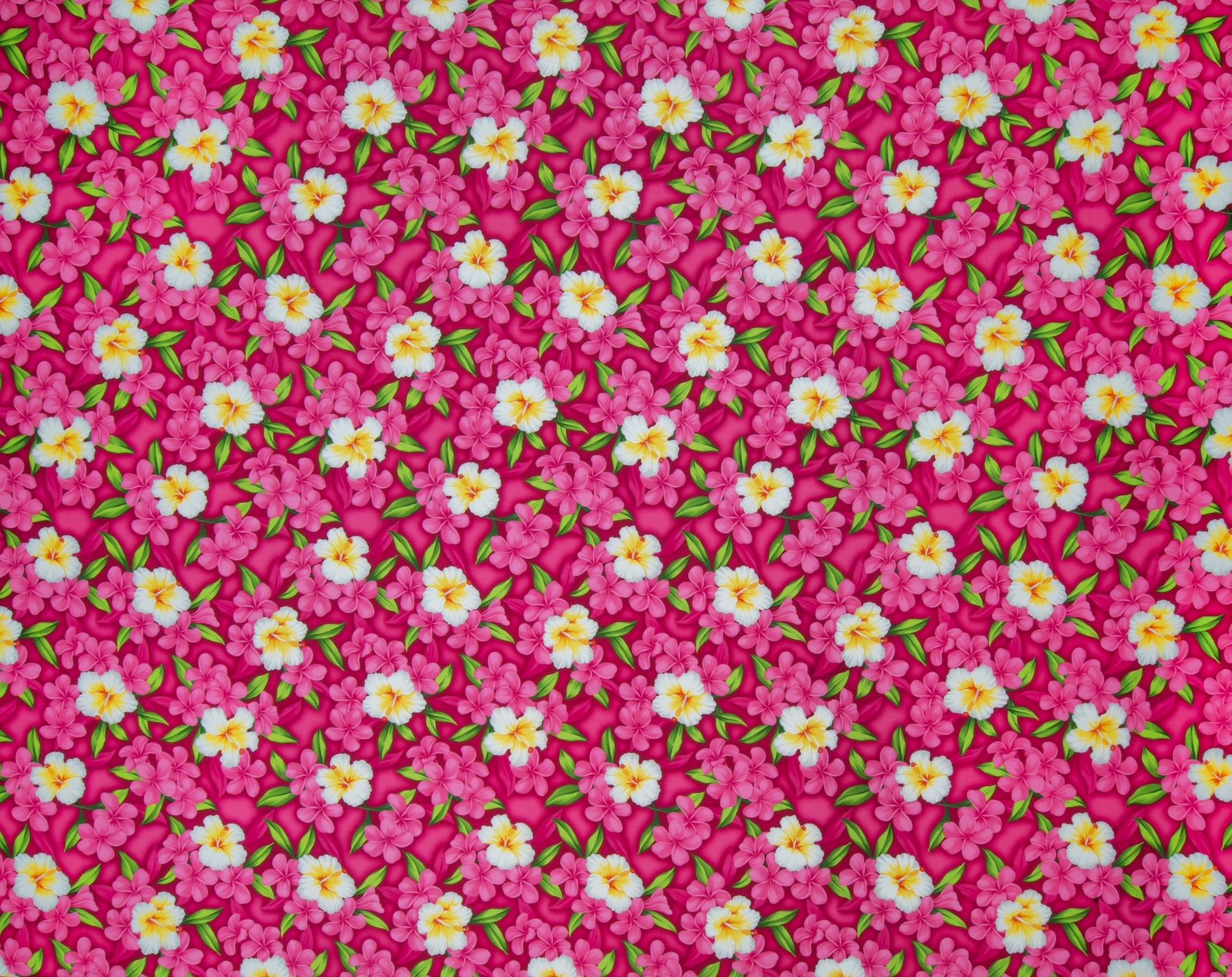 JV-005M Pink  Trendtex Fabrics Cotton Poplin trendtexfabrics.myshopify.com TrendtexFabrics