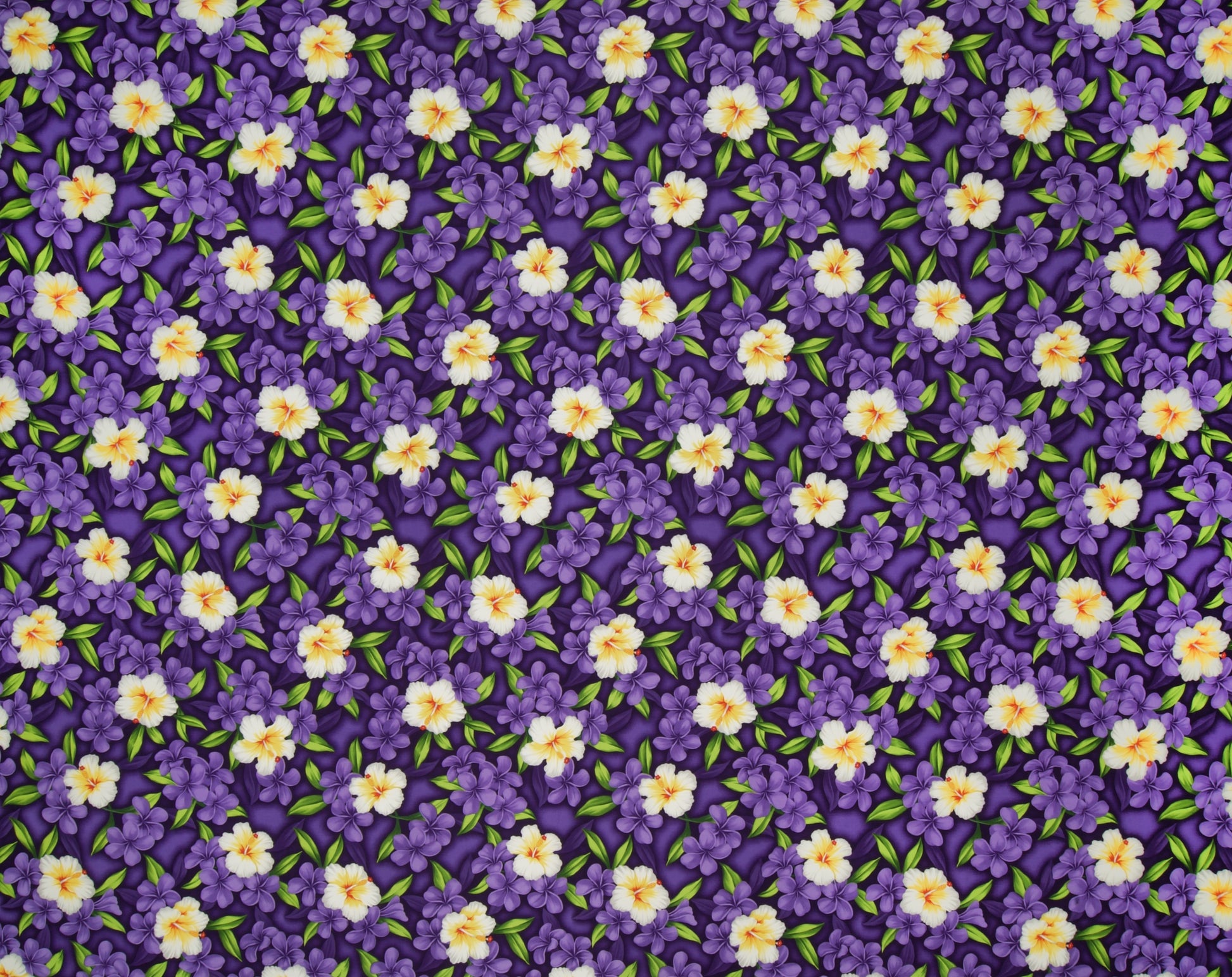 JV-005M Purple  Trendtex Fabrics Cotton Poplin trendtexfabrics.myshopify.com TrendtexFabrics