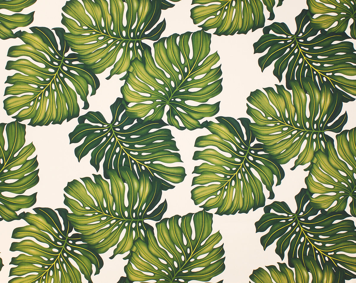 EH-3C06 Ohana Cream (Cotton Twill) - TrendtexFabricsMonstera Leaves Printed All-Over